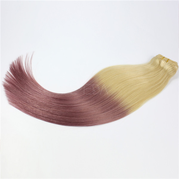 Wholesale Clip In Hair Extensions Ombre China Hair Clips Factory Human Hair Extensions LM330 